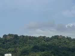 The Hillier (D23), Apartment #498089751